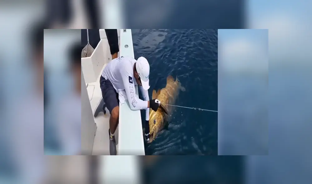 Desliza para ver los detalles del video viral publicado en YouTube. Foto: Captura. Desliza para ver los detalles del video viral publicado en YouTube. Foto: Captura.