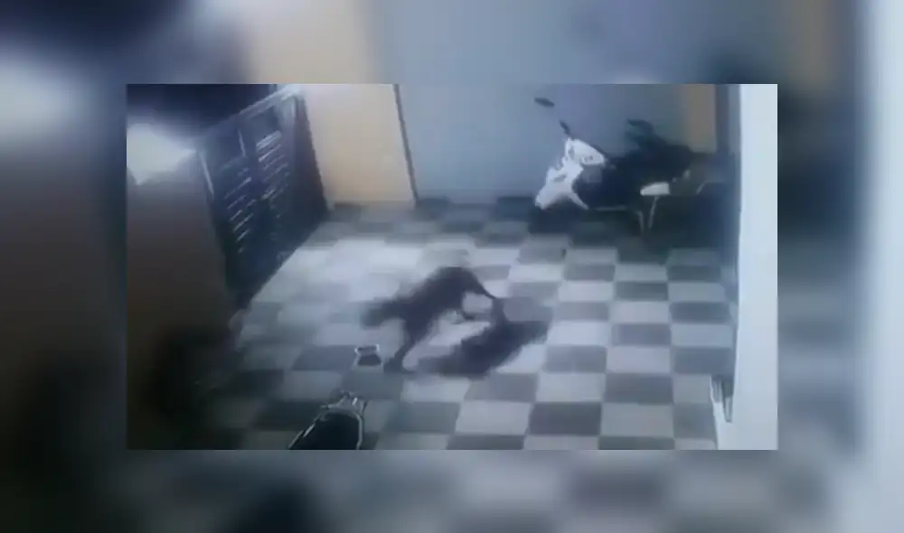 A través de YouTube se hizo viral el momento en que un furioso leopardo ataca ferozmente a un perro. A través de YouTube se hizo viral el momento en que un furioso leopardo ataca ferozmente a un perro.