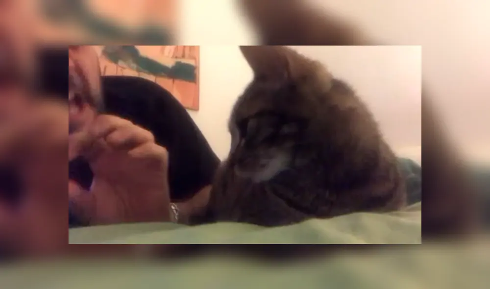 En Facebook, un señor estaba cansado que su gato despierte temprano y le hizo una inesperada súplica. En Facebook, un señor estaba cansado que su gato despierte temprano y le hizo una inesperada súplica.