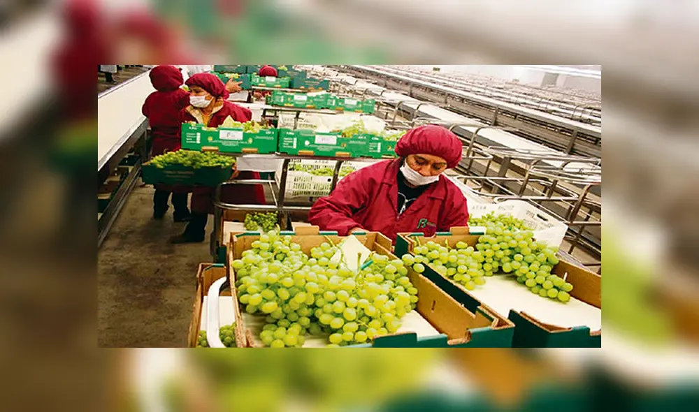 Perú lidera el crecimiento de exportaciones en América Latina en el 2017