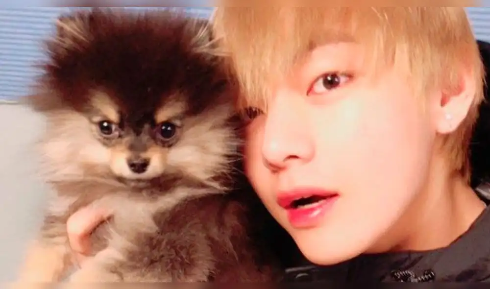 El ARMY celebró el cumpleaños de la mascota del integrante de la banda de kpop