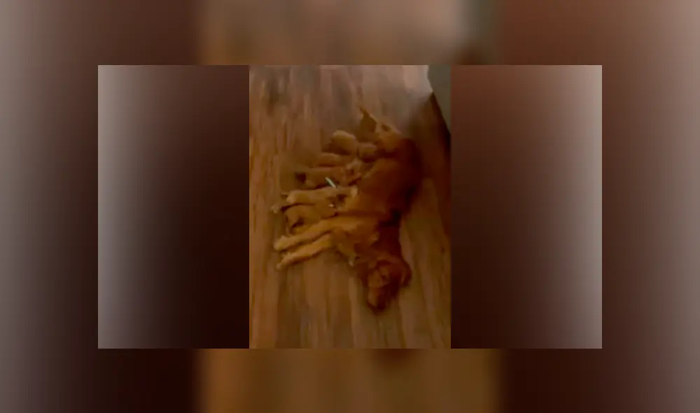 Desliza hacia la izquierda para ver la tierna escena del video viral de Facebook. Desliza hacia la izquierda para ver la tierna escena del video viral de Facebook.