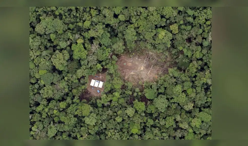 Satélites captan imágenes sorprendentes de la selva de Cusco [FOTOS]