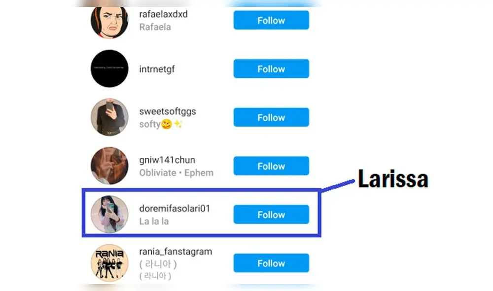 Los fans descubrieron que Larissa había dado 'me gusta' al post.