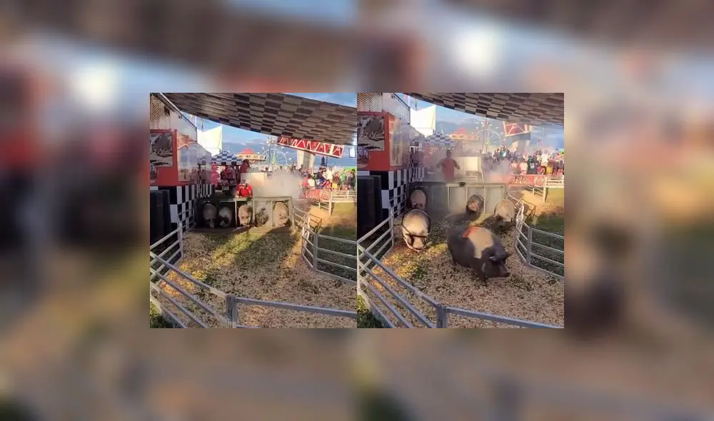 Foto: captura de TikTok