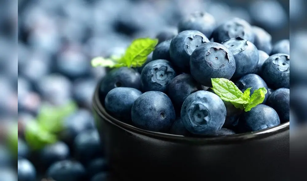 México y China firman acuerdo para iniciar con exportación de arándanos 