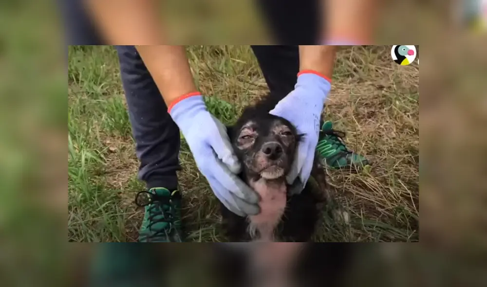 Desliza hacia la izquierda para ver las imágenes del viral de YouTube. Foto: Captura.