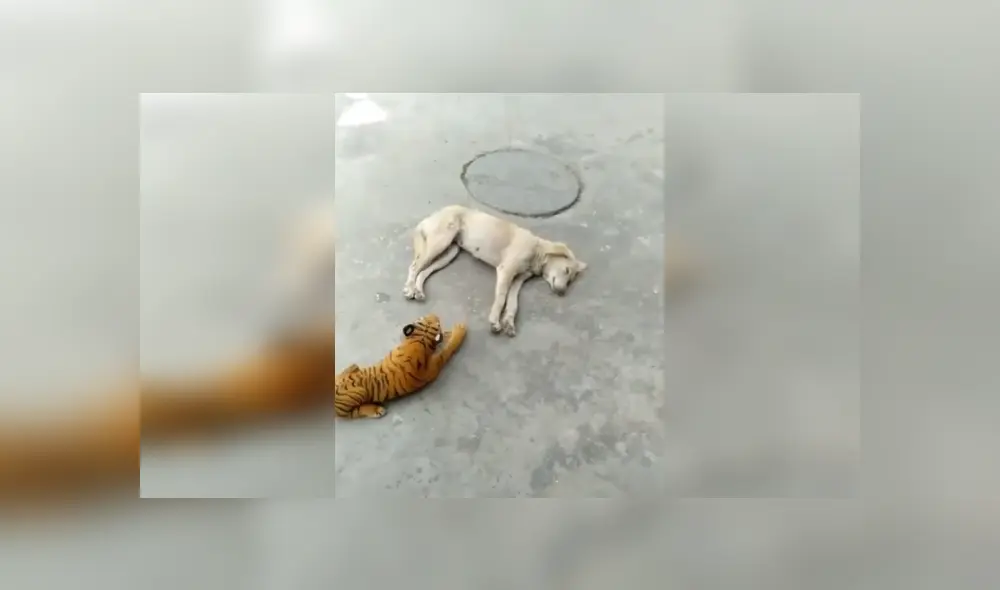 Desliza para ver los detalles del video viral publicado en YouTube. Foto: Captura.