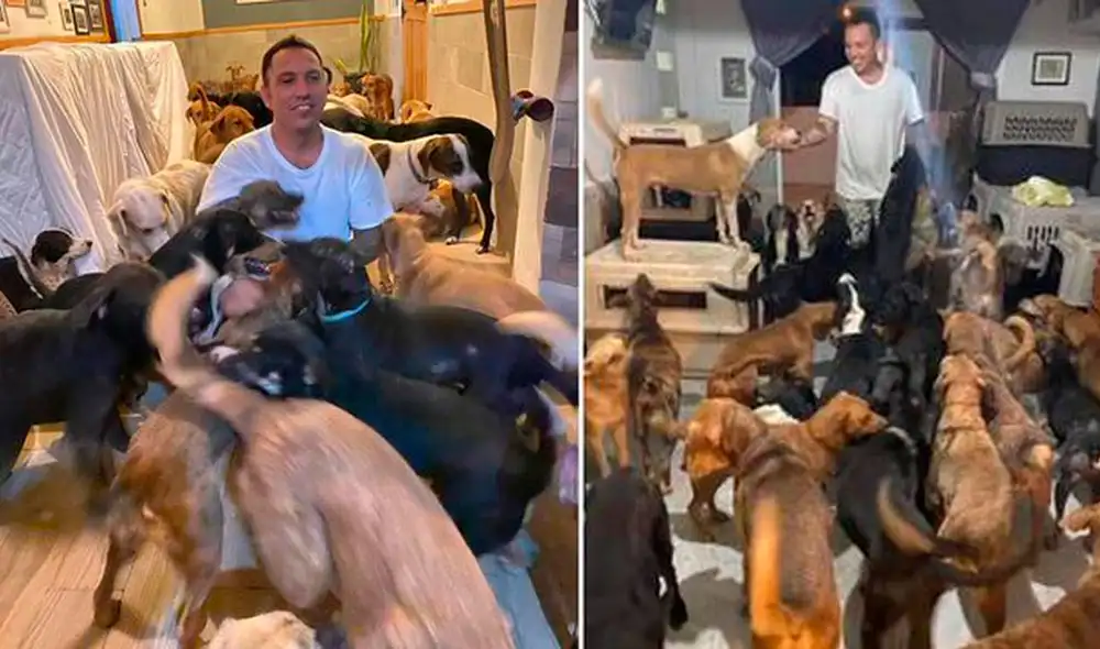 Ricardo Pimentel Cordero contó en Facebook que reunió en su casa a unos 300 perros callejeros para protegerlos del huracán Delta. Foto: Composición / El Universal de México Ricardo Pimentel Cordero contó en Facebook que reunió en su casa a unos 300 perros callejeros para protegerlos del huracán Delta. Foto: Composición / El Universal de México