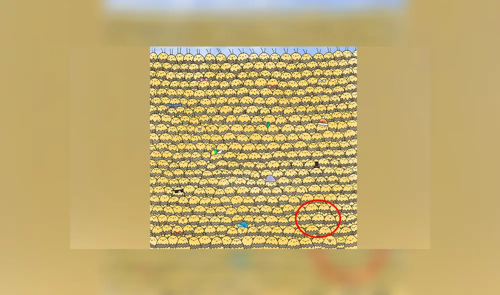 Desliza las imágenes para ver el lugar exacto en el que se escondió esta traviesa abeja reina. Fotocapturas: dudolf.com