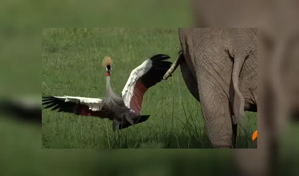 Desliza la imagen de YouTube para ver todas las fotos.