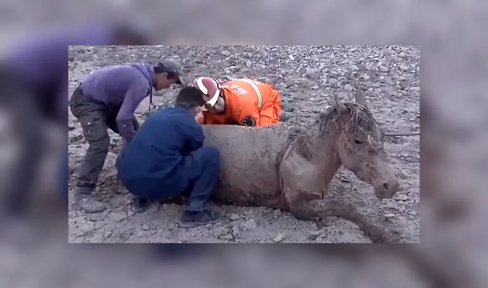 Desliza la imagen publicada en YouTube para verlas todas. Foto: captura