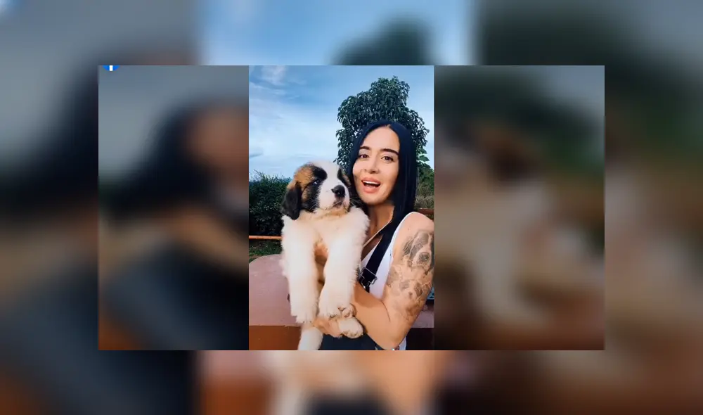 Desliza para ver los detalles del video viral publicado en YouTube. Foto: Captura.