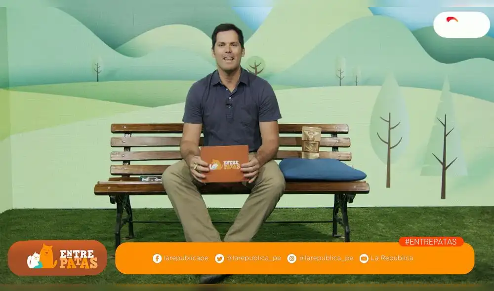 Conoce  el calendario de vacunas para tu mascota  - Entre Patas