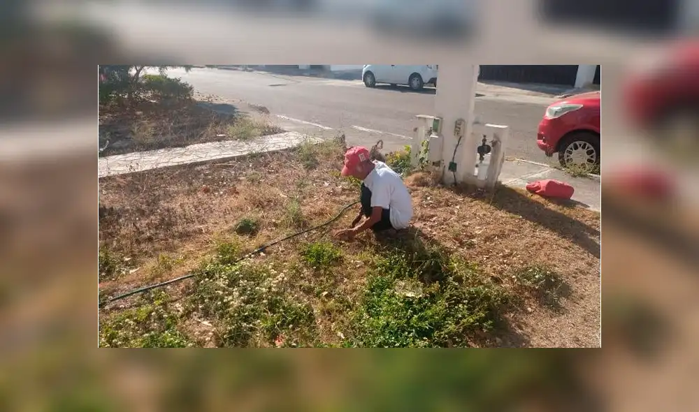 Anciano pide trabajo para “no morir de hambre” durante cuarentena por coronavirus 