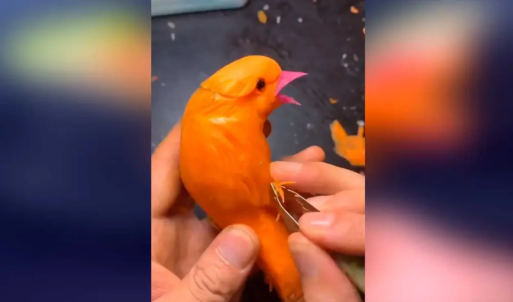 Desliza las imágenes para ver la increíble técnica que usó este joven artesano para crear esta escultura. Foto: captura de Facebook/Nicholis Louw