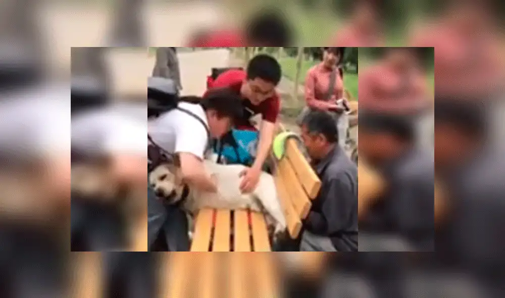 Desliza para ver las imágenes del divertido rescate. Foto: captura AsiaWire.