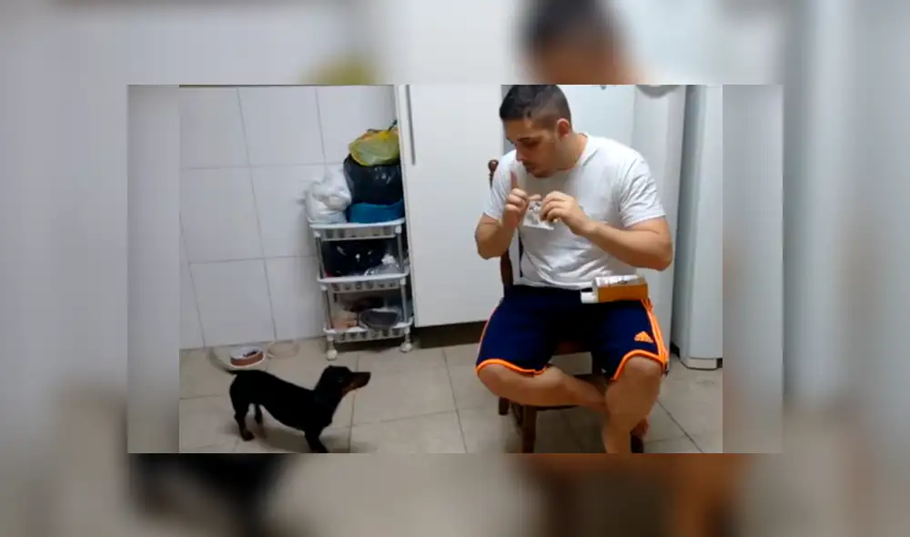 Facebook viral: hombre usa truco para engañar a su perro y que tome su medicina [VIDEO]