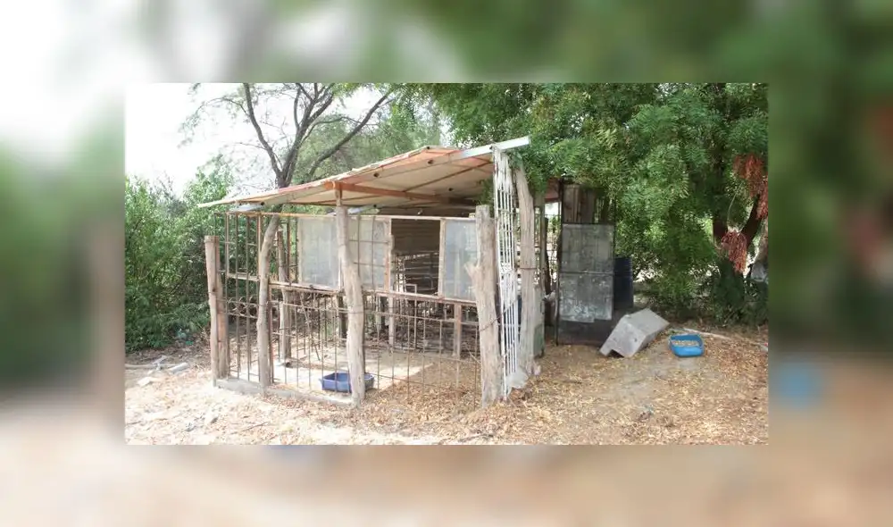 piura secuestro abuso policial