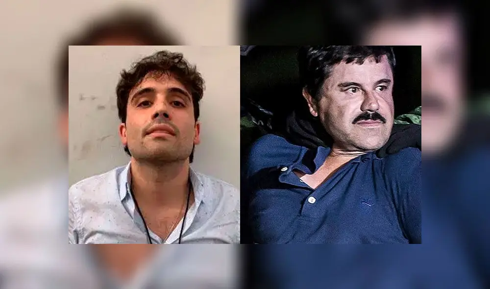 Ovidio Guzmán Ovidio Guzmán