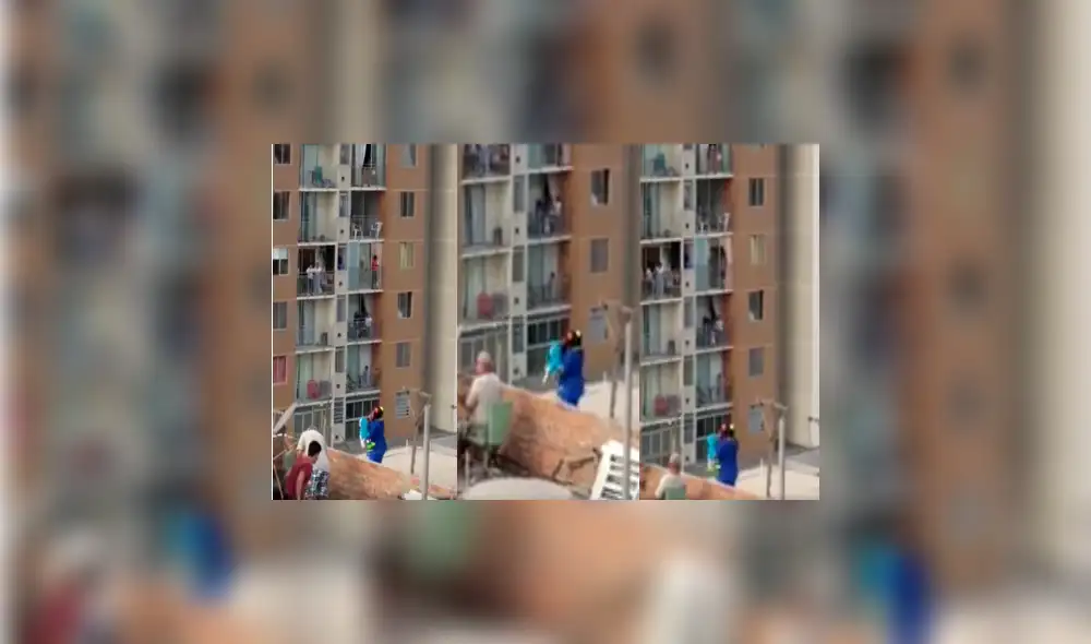 show infantil show infantil