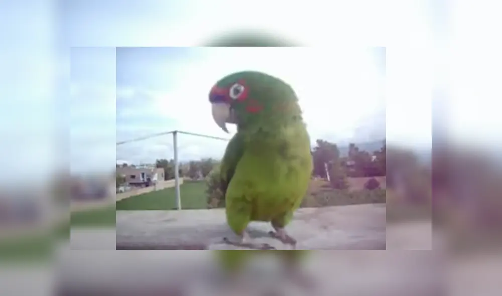 Desliza para ver los detalles del video viral que causa sensación en YouTube. Foto: Captura.