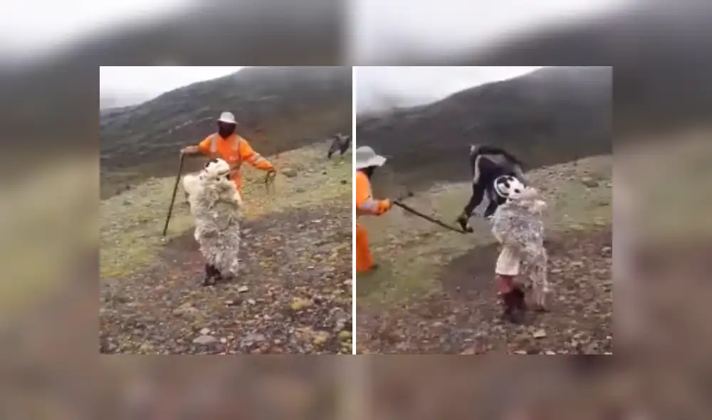 Desliza las imágenes para ver más detalles sobre esta divertida escena que es viral en Facebook. Desliza las imágenes para ver más detalles sobre esta divertida escena que es viral en Facebook.