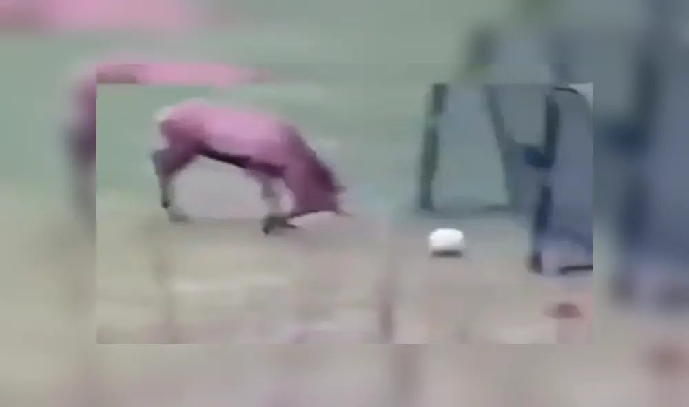 Desliza para ver los detalles de este video viral de YouTube. Foto: Captura. Desliza para ver los detalles de este video viral de YouTube. Foto: Captura.