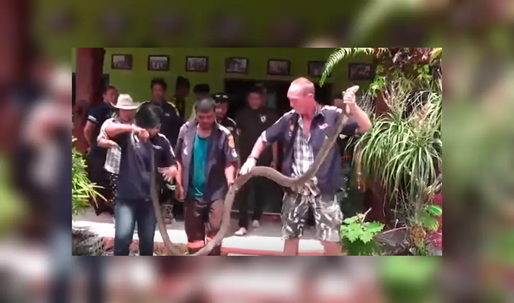 Desliza hacia la izquierda para ver el espeluznante aspecto de la serpiente viral de YouTube. Desliza hacia la izquierda para ver el espeluznante aspecto de la serpiente viral de YouTube.