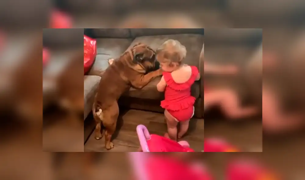 Video es viral en Facebook. La mamá de la bebé grabó el curioso episodio que protagonizó la menor junto a su mascota tras imitar los graciosos movimientos de esta Video es viral en Facebook. La mamá de la bebé grabó el curioso episodio que protagonizó la menor junto a su mascota tras imitar los graciosos movimientos de esta