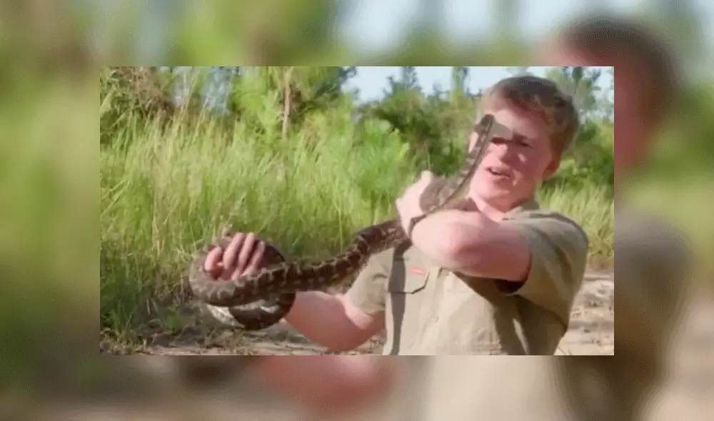La pitón volteó rápidamente y atacó al muchacho. Foto: captura Instagram. La pitón volteó rápidamente y atacó al muchacho. Foto: captura Instagram.