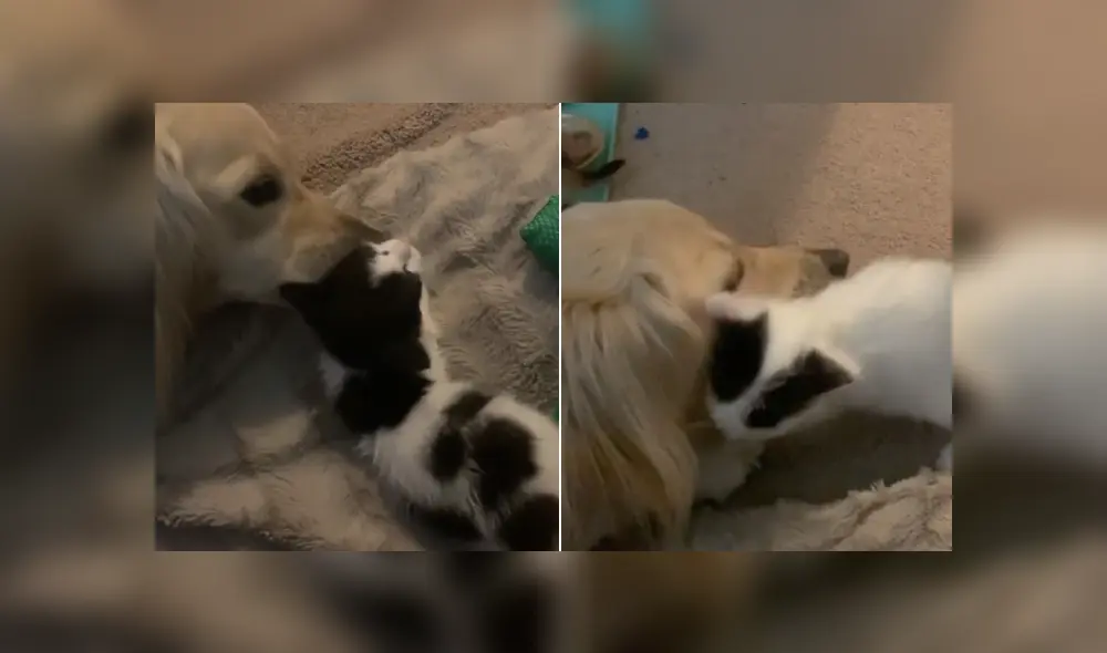 Desliza las imágenes para ver más detalles de esta tierna escena que es viral en Facebook.