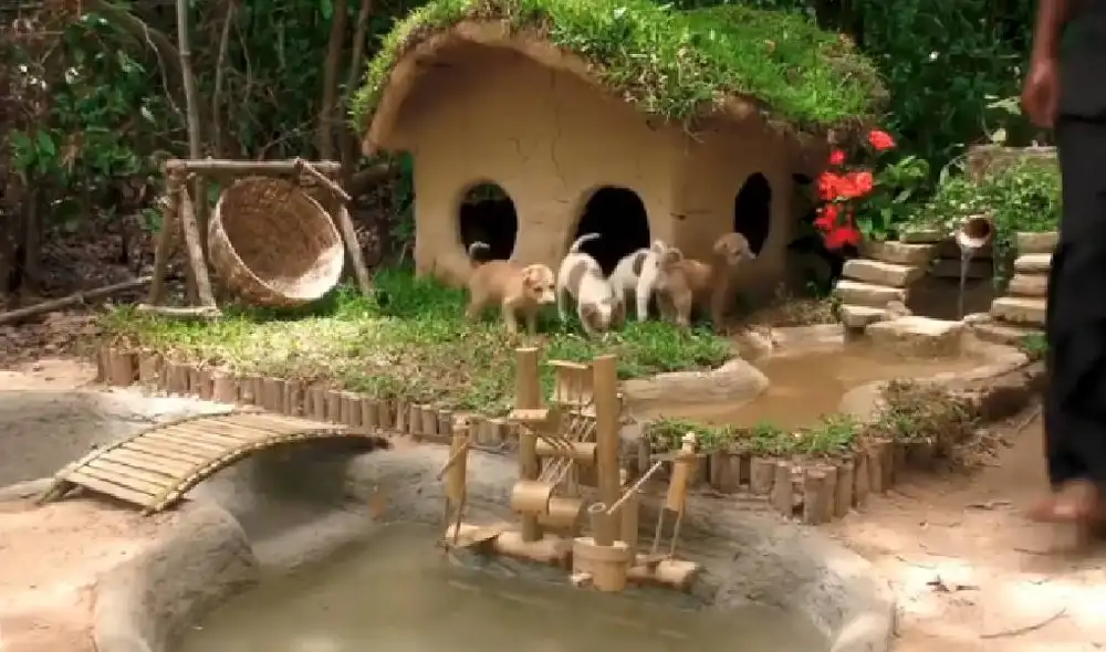 Desliza para ver la mansión final de los cachorros. Foto: Captura/Facebook