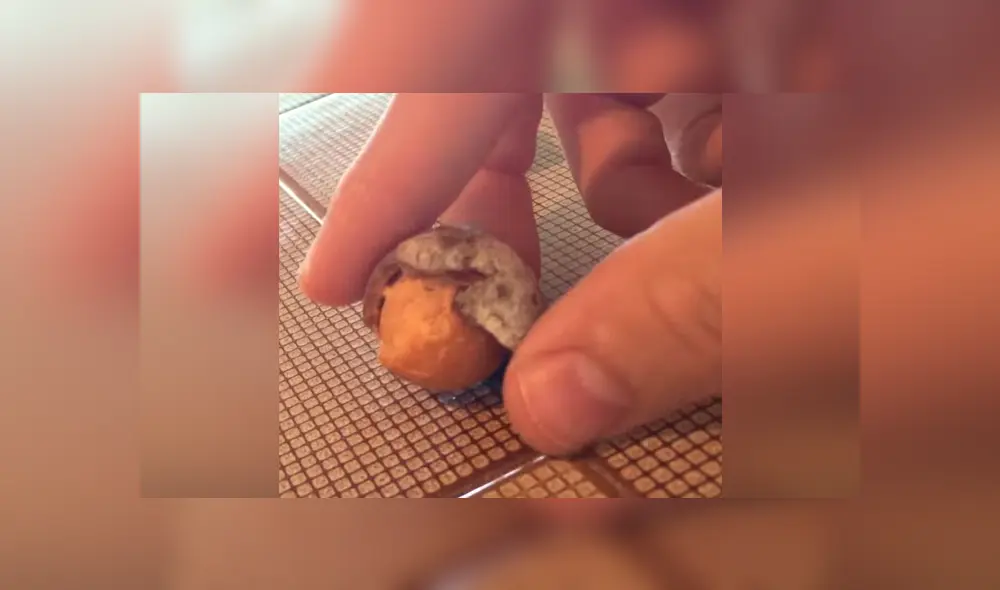 YouTube viral: joven experimenta colocando un huevo dentro de vaso con Coca Cola por un año [VIDEO] 