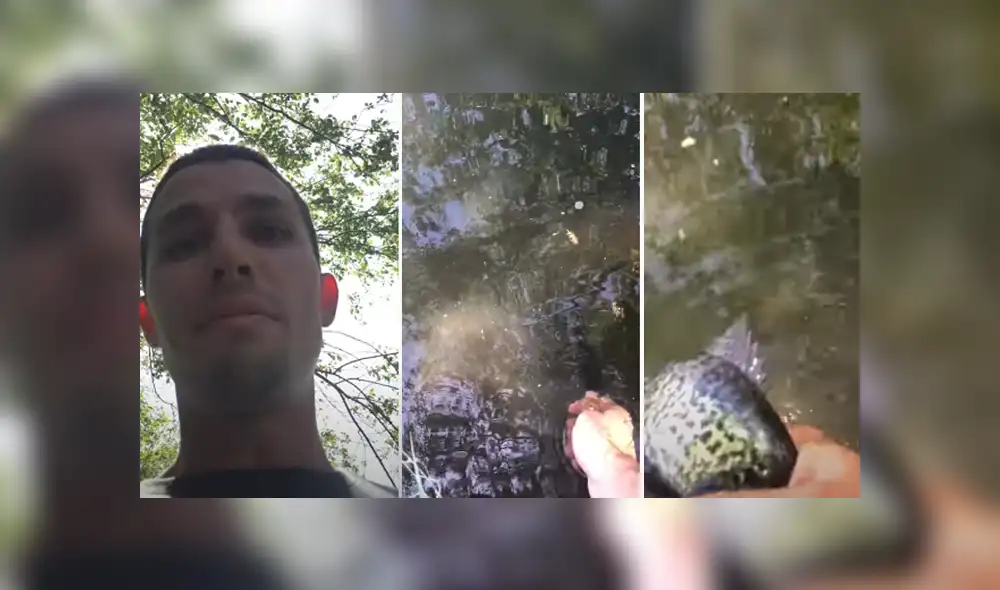 Desliza hacia la izquierda para ver las imágenes del viral de Facebook. Foto: Captura. Desliza hacia la izquierda para ver las imágenes del viral de Facebook. Foto: Captura.