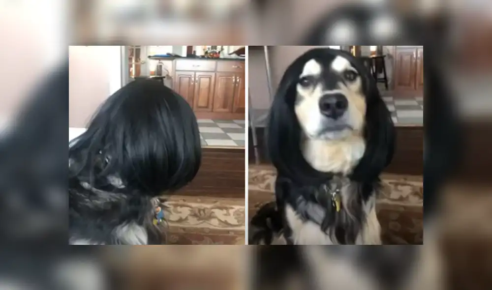 Desliza hacia la izquierda para ver las imágenes del viral de Facebook.