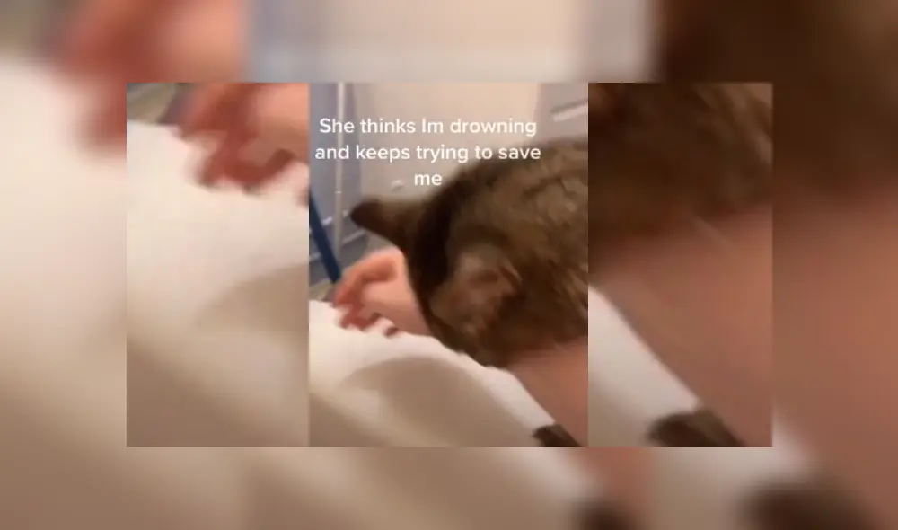 Video es viral en TikTok. Joven se estaba enjuagando el cabello en su bañera, cuando su gata la sorprendió con una insólita conducta. Fotocaptura: YouTube