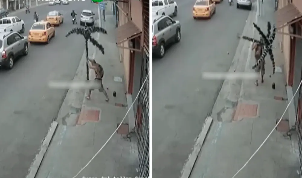 Las imágenes generaron todo tipo de divertidos comentarios en redes sociales. Foto: composición LR/captura de TikTok/@Tatancito Las imágenes generaron todo tipo de divertidos comentarios en redes sociales. Foto: composición LR/captura de TikTok/@Tatancito