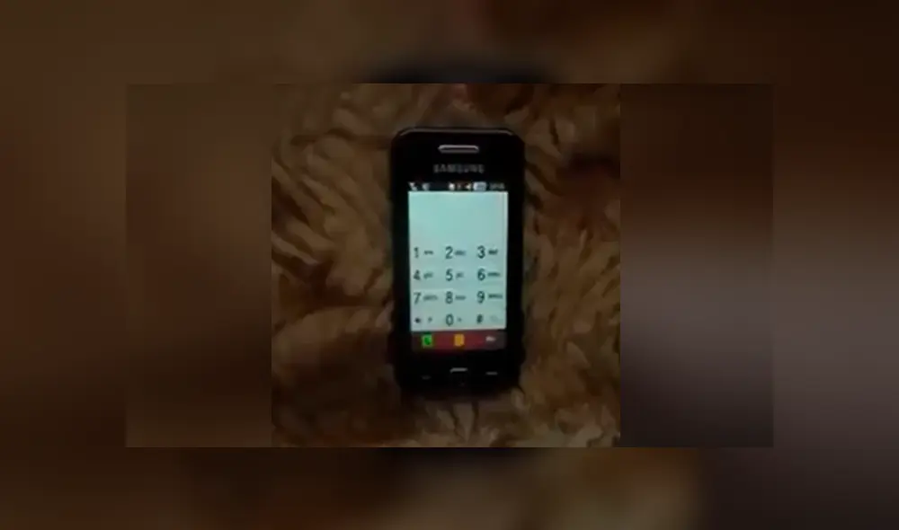 Desliza para ver las imágenes más divertidas del video que se hizo viral en Facebook. Desliza para ver las imágenes más divertidas del video que se hizo viral en Facebook.