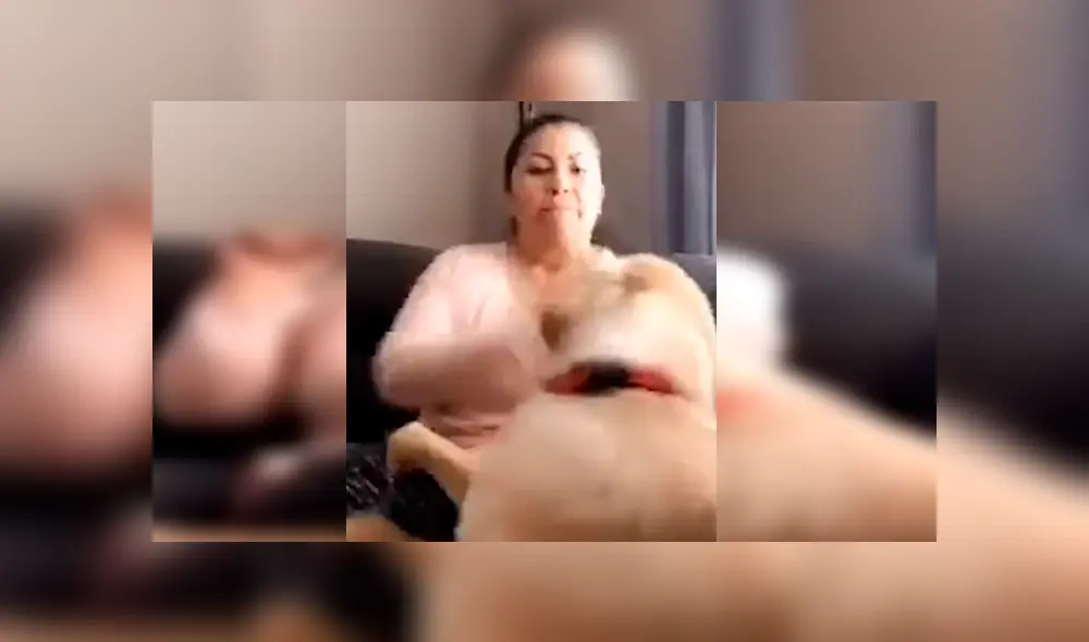 La mujer protagonizó una divertida ‘pelea’ con su perro, luego de que este le respondiera de una peculiar forma cuando lo estaba regañando. La escena se ha hecho viral en Facebook La mujer protagonizó una divertida ‘pelea’ con su perro, luego de que este le respondiera de una peculiar forma cuando lo estaba regañando. La escena se ha hecho viral en Facebook