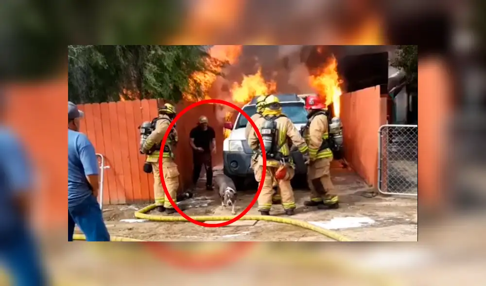 Facebook: joven ingresó a su hogar cubierto en llamas para salvar a su perro que estaba dentro [VIDEO]