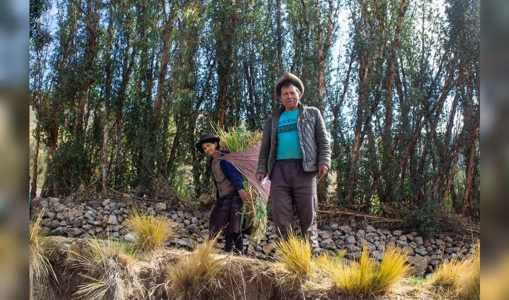 Agricultores de la zona Sierra y Selva son los principales afectados. Agricultores de la zona Sierra y Selva son los principales afectados.