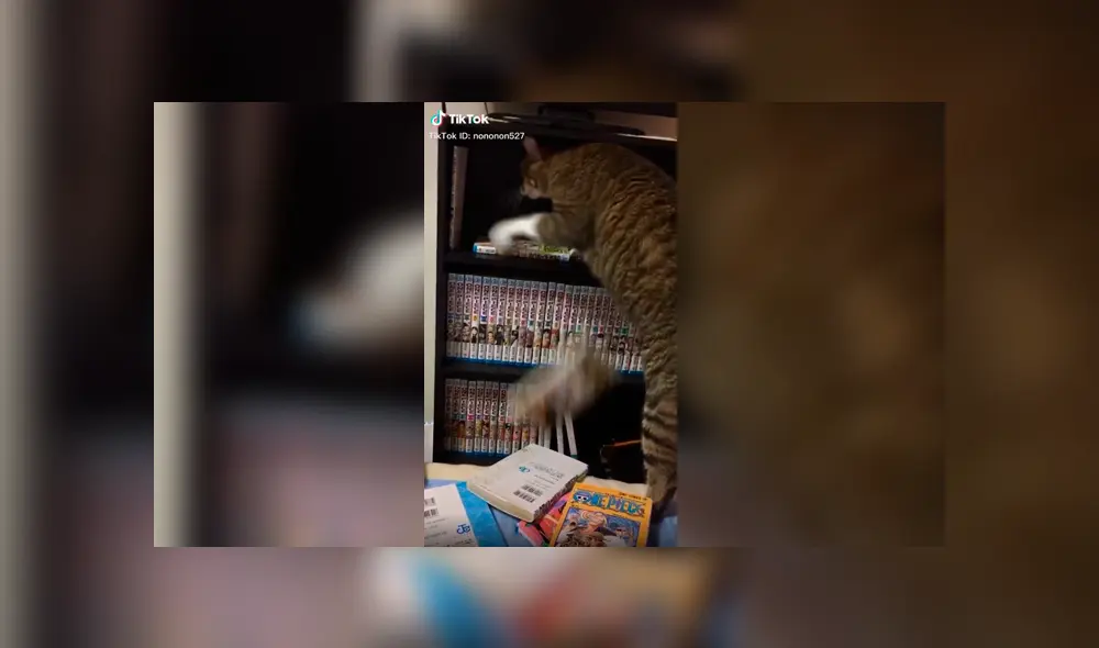 Desliza a la izquierda para ver el nuevo viral de Facebook que ha hecho reír a miles de usuarios. Foto: Captura.