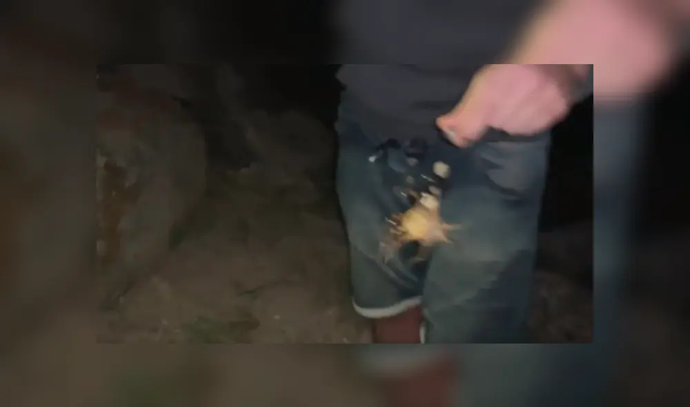 Una transmisión en vivo en Facebook muestra a la letal criatura que caminó sobre el brazo de un joven.