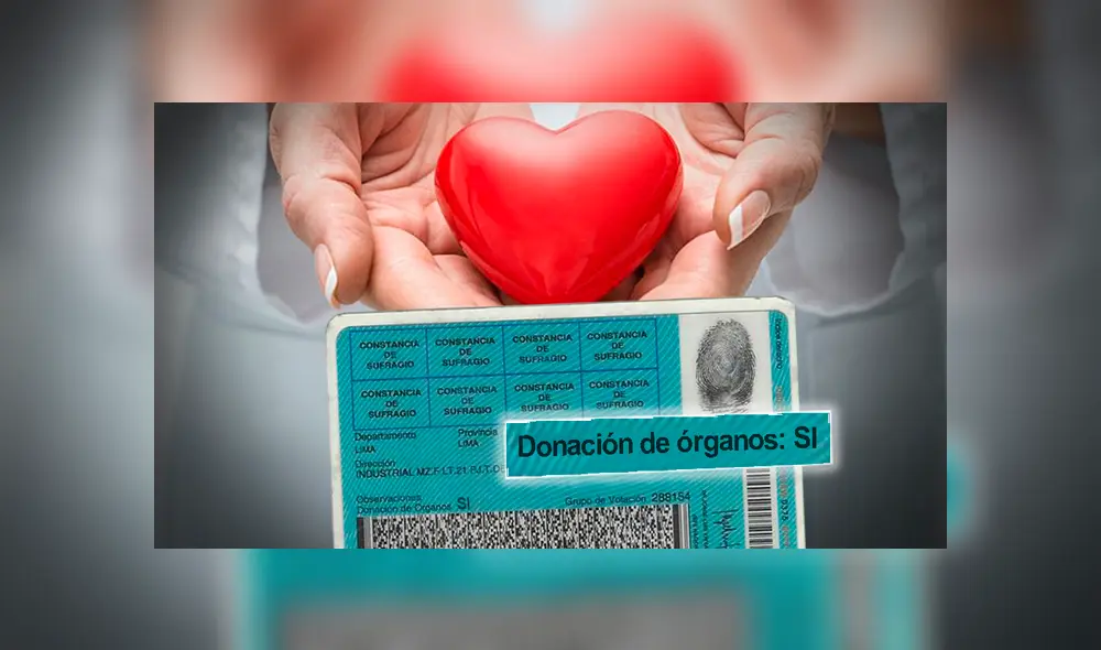 donacion de organos