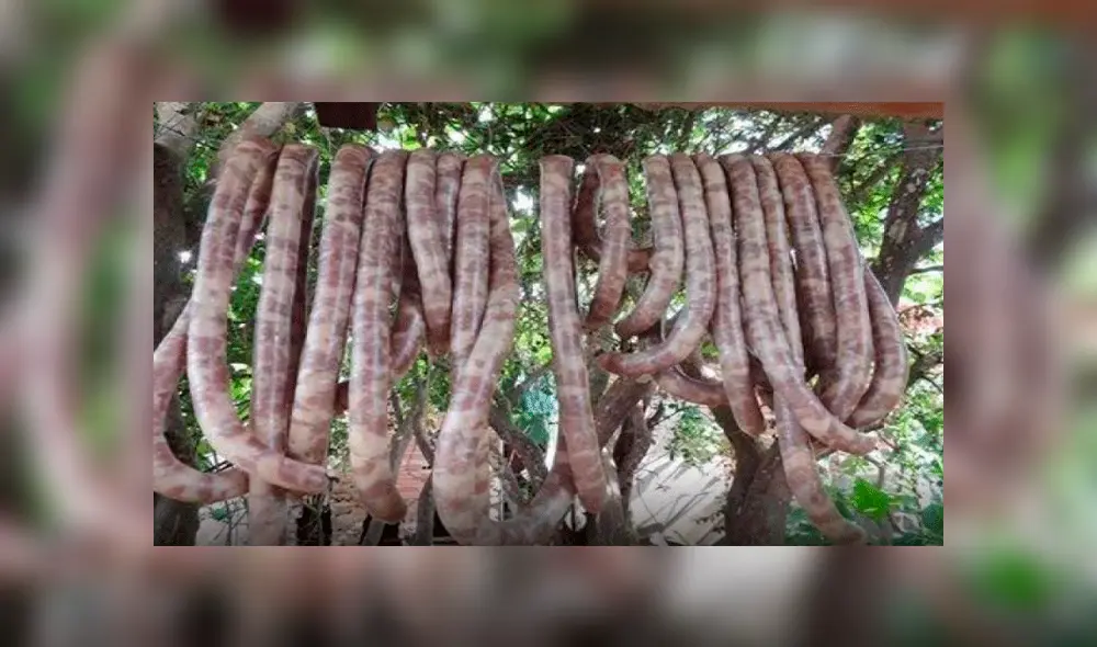 ‘Choricanes’: polémica por viral que asegura que los embutidos son de carne de perro [FOTOS]