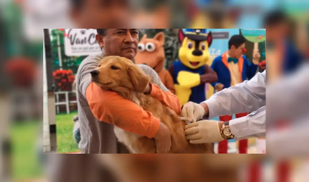 Campaña de vacunación contra la rabia se realizará en 17 regiones este 28 y 29 de setiembre. Foto: Difusión