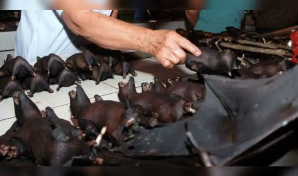 mercado de animales salvajes