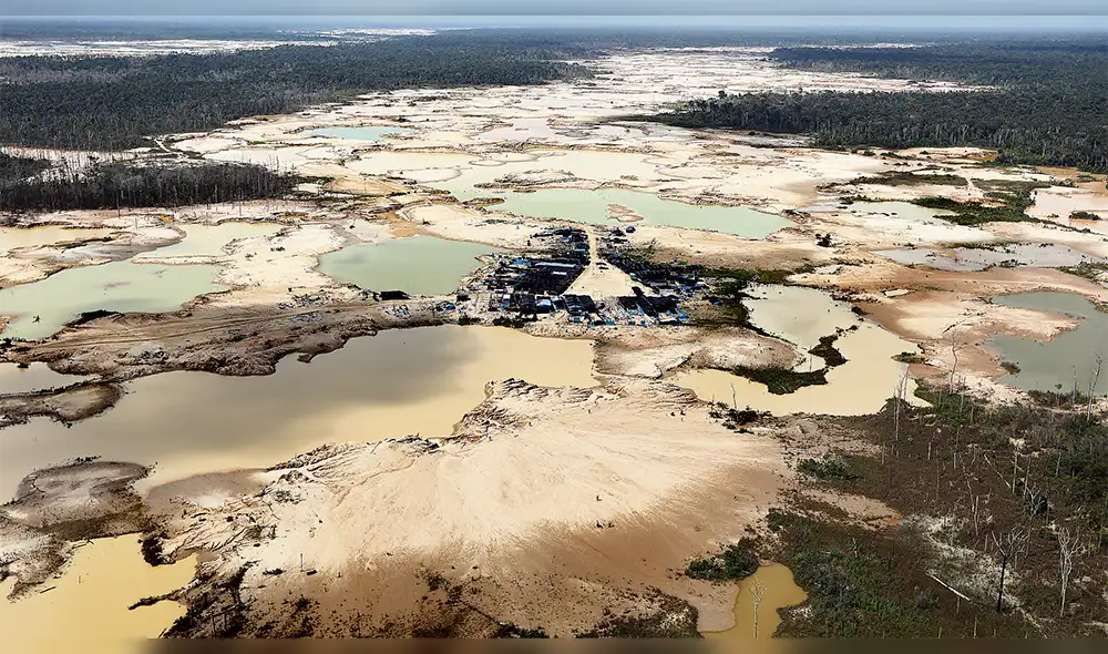 La Pampa: el desafío ahora es devolverle vida a 11 mil hectáreas