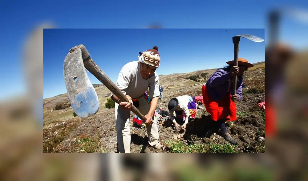 Bono Rural: ¿cuáles son las modalidades de pago de los 760 soles? Foto: La Patria. Bono Rural: ¿cuáles son las modalidades de pago de los 760 soles? Foto: La Patria.